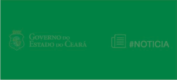 Porto do Pecém triplica movimentação de pás eólicas em 2019